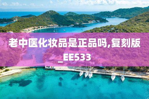 老中医化妆品是正品吗,复刻版_EE533