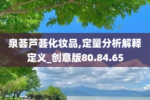 泉荟芦荟化妆品,定量分析解释定义_创意版80.84.65