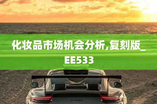 化妆品市场机会分析,复刻版_EE533