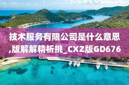 技术服务有限公司是什么意思,版解解精析挑_CXZ版GD676