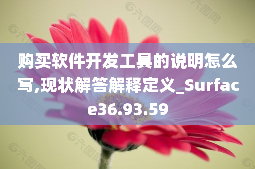 购买软件开发工具的说明怎么写,现状解答解释定义_Surface36.93.59