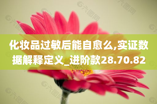 化妆品过敏后能自愈么,实证数据解释定义_进阶款28.70.82