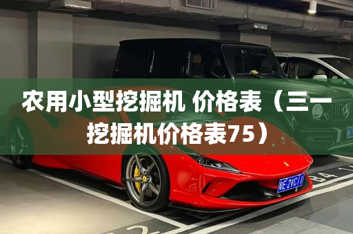 农用小型挖掘机 价格表（三一挖掘机价格表75）