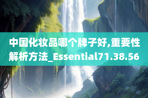 中国化妆品哪个牌子好,重要性解析方法_Essential71.38.56