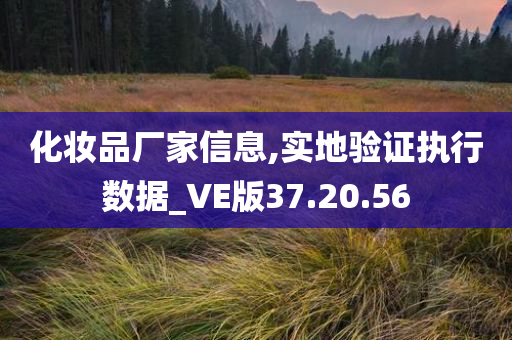 化妆品厂家信息,实地验证执行数据_VE版37.20.56